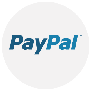 paypal payment icon